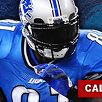 Riegner & Associates: Detroit Lions Banner Ad