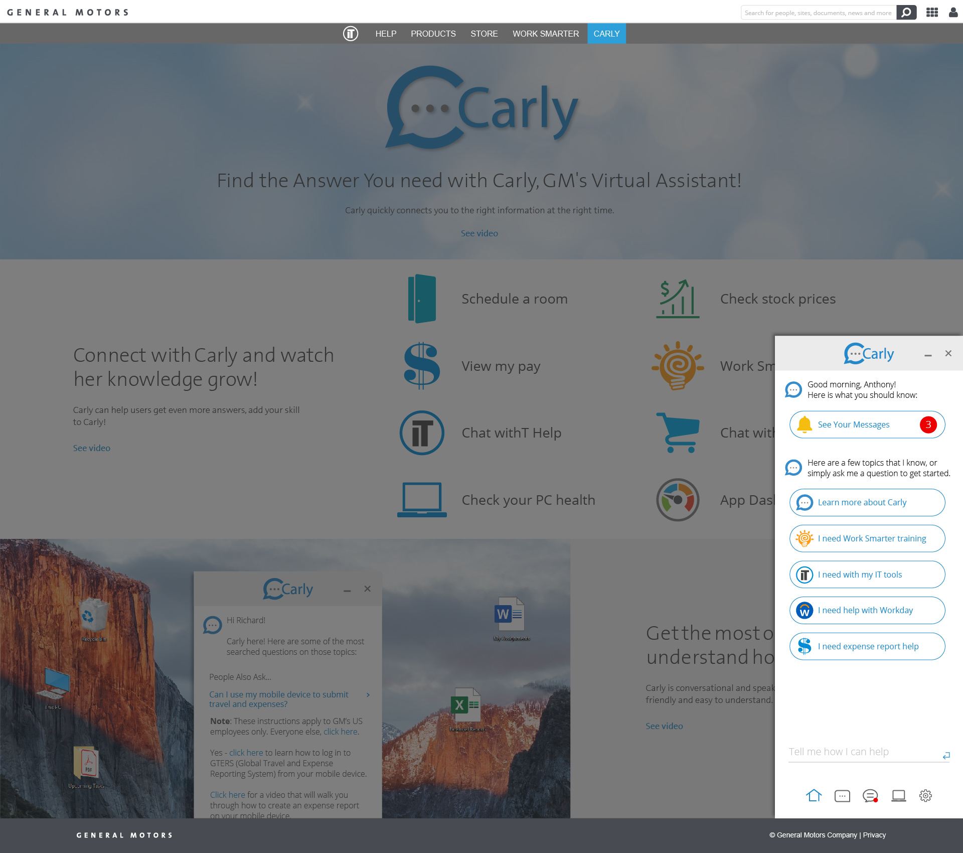 General Motors: "Carly" Chat Bot Website 2